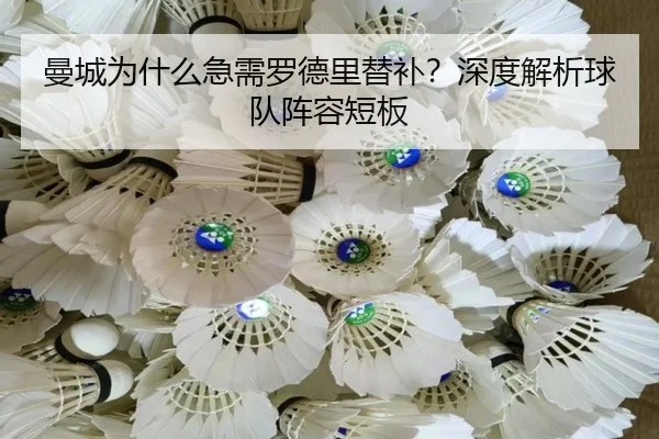 曼城为什么急需罗德里替补？深度解析球队阵容短板